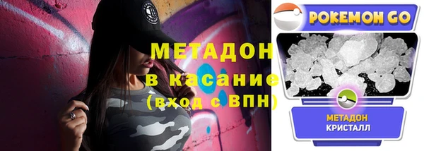 стаф Алексин