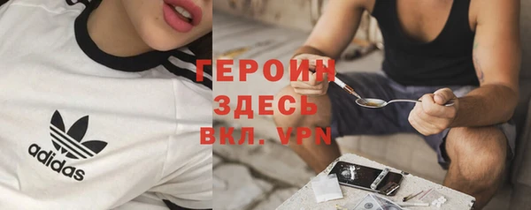 стаф Алексин