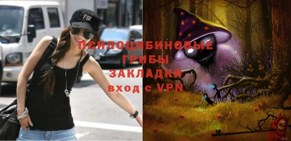СК Алексеевка