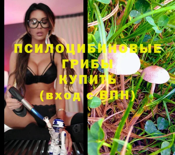 экстази Алзамай