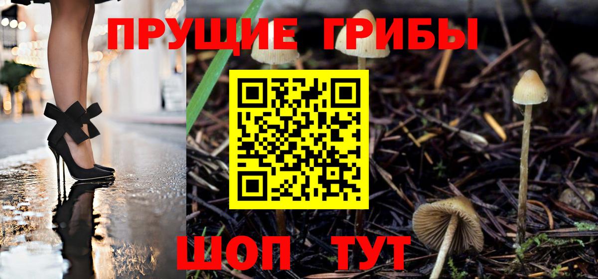 Галлюциногенные грибы Magic Shrooms Большой Камень