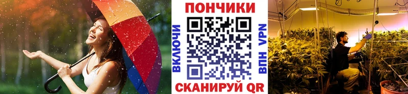 Бошки марихуана сатива  Большой Камень 